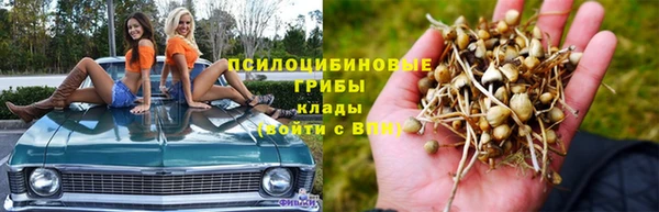 шишки Усмань